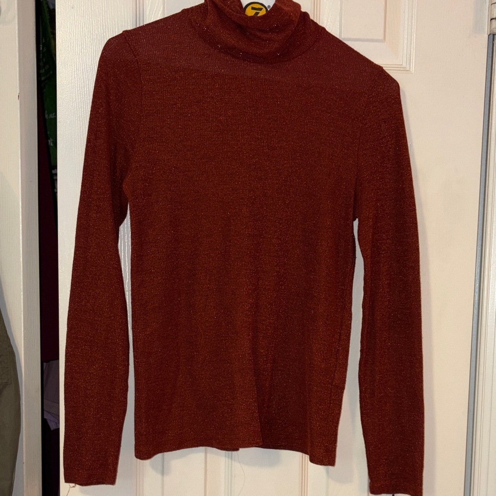 Womens Rust Turtleneck